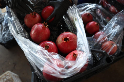 Türkiye'nin nar üretiminin yüzde 21'i Antalya'dan