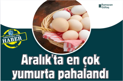 Aralık'ta en çok yumurta pahalandı