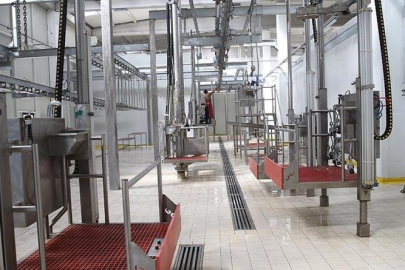 Kesimhanelere kamera zorunluluğu getiriliyor