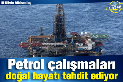 Petrol çalışmaları doğal hayatı tehdit ediyor