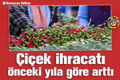 Çiçek ihracatı önceki yıla göre arttı