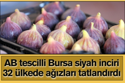 AB tescilli Bursa siyah inciri 32 ülkede ağızları tatlandırdı