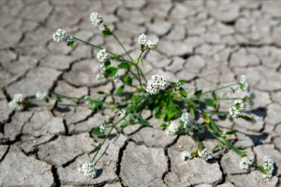 Türkiye'nin ilk "İklim Kanunu" için teklif hazırlığında sona gelindi