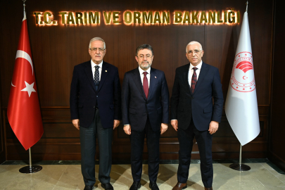 Marmarabirlik Yönetim Kurulu Başkanı Hidamet Asa: "Dane zeytine prim desteği kaldırılmamalı"