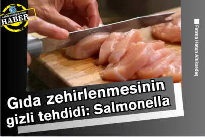 Gıda zehirlenmesinin gizli tehdidi: Salmonella