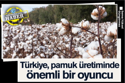 Türkiye, pamuk üretiminde önemli bir oyuncu