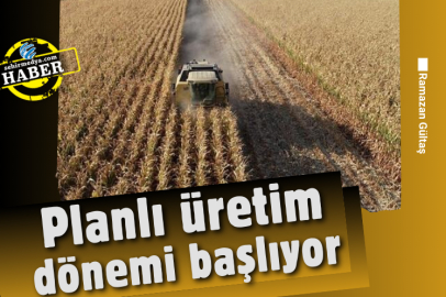 Planlı üretim dönemi başlıyor