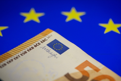 Avro Bölgesi'nde üretici fiyatları ocakta arttı