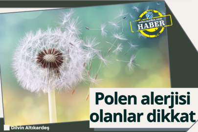 Polen alerjisi olanlar dikkat