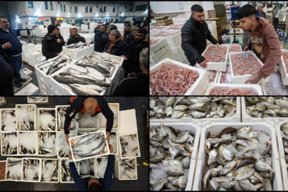 Egeli balıkçılar sezonu geçen yılın üzerinde balıkla kapatacak