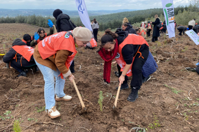 Bursa'da 10 bin fidan toprakla buluştu