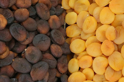 Malatya kayısısından yılın ilk çeyreğinde 93 milyon dolar gelir elde edildi