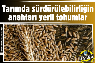 Tarımda sürdürülebilirliğin anahtarı yerli tohumlar