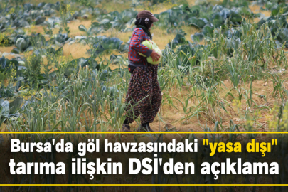 Bursa'da göl havzasındaki "yasa dışı" tarıma ilişkin DSİ'den açıklama