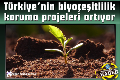 Türkiye’nin biyoçeşitlilik koruma projeleri artıyor