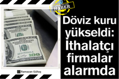 Döviz kuru yükseldi: İthalatçı firmalar alarmda