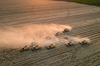 Tarım ÜFE mayısta aylık bazda yüzde 0,23 arttı