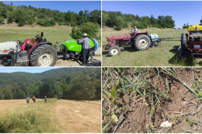 Bursa’da çekirge ile mücadele başladı