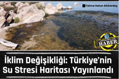 İklim Değişikliği: Türkiye’nin Su Stresi Haritası Yayınlandı