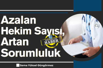 Azalan Hekim Sayısı, Artan Sorumluluk