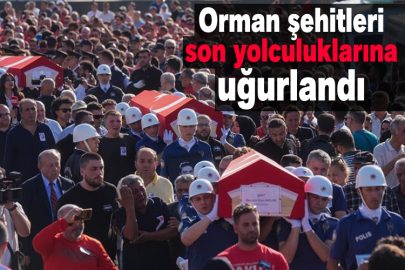 Orman şehitleri son yolculuklarına uğurlandı