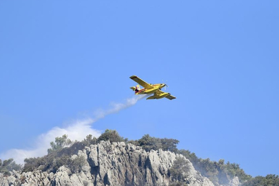 Orman yangınlarına havadan ve karadan müdahale ediliyor