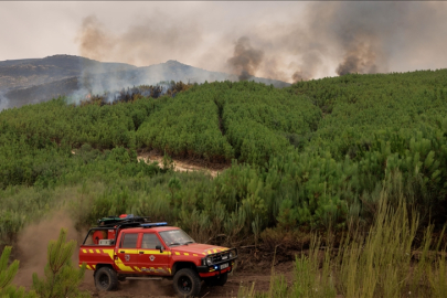 Portekiz hükümeti, orman yangınlarına karşı alarm durumunu 15 Ağustos'a kadar uzattı