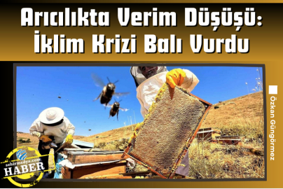 Arıcılıkta Verim Düşüşü: İklim Krizi Balı Vurdu
