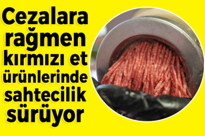 Cezalara rağmen kırmızı et ürünlerinde sahtecilik sürüyor