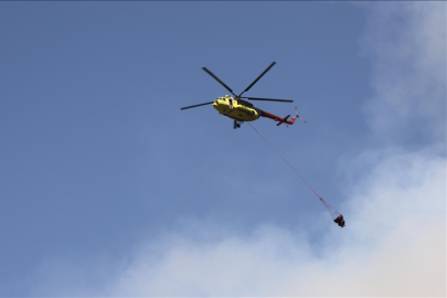 Denizli'nin Pamukkale ilçesindeki orman yangını büyük ölçüde kontrol altına alındı