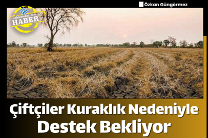 Çiftçiler Kuraklık Nedeniyle Destek Bekliyor