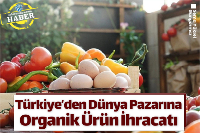 Türkiye’den Dünya Pazarına Organik Ürün İhracatı
