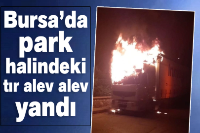 Bursa’da park halindeki tır alev alev yandı