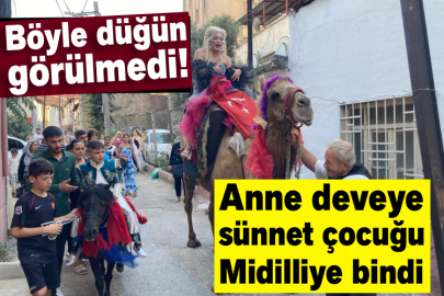 Böyle düğün görülmedi, anne deveye sünnet çocuğu Midilliye bindi