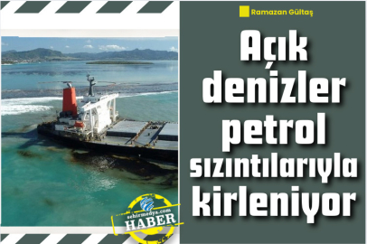Açık denizler petrol sızıntılarıyla kirleniyor