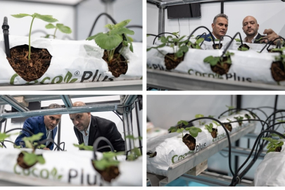 Mühendis kardeşlerden uzaktan kontrol edilebilen topraksız tarım sistemi