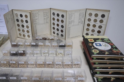 Toplam 122 bin 750 tohum örneği gen bankalarında korunuyor