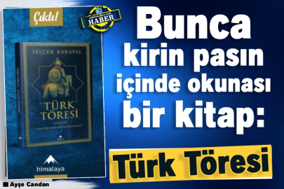 Bunca kirin pasın içinde okunası bir kitap: Türk Töresi
