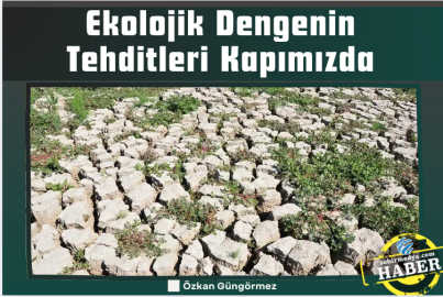 Ekolojik Dengenin Tehditleri Kapımızda