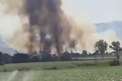 Yenişehir kırsalında yangın paniği