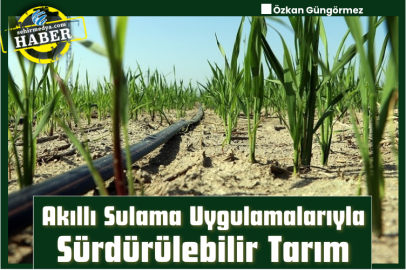 Akıllı Sulama Uygulamalarıyla Sürdürülebilir Tarım