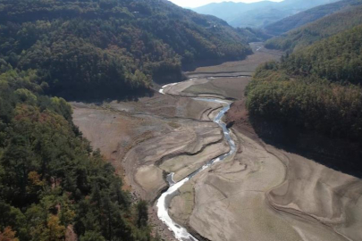 DOĞADER Başkanı Demir: "Su şehri Bursa'da artık su yok"