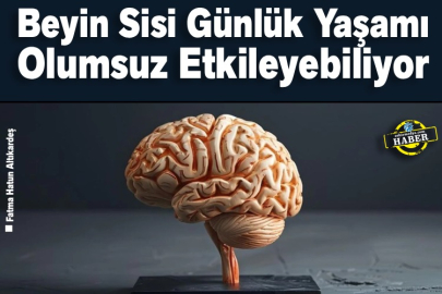 Beyin Sisi Günlük Yaşamı Olumsuz Etkileyebiliyor