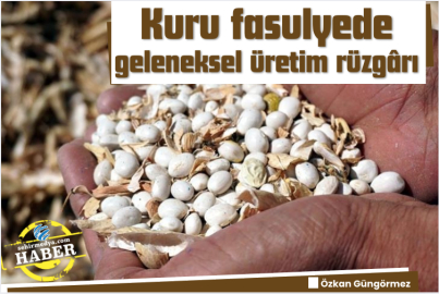 Kuru fasulyede geleneksel üretim rüzgârı