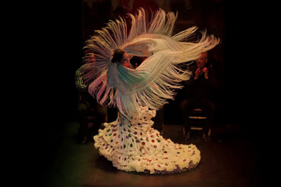 Ankara ve İstanbul'da düzenlenecek flamenko gösterisinin geliri Gazze'ye bağışlanacak