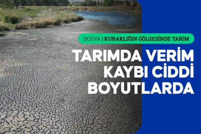 Kuraklık bu yıl birçok ürünü etkiledi