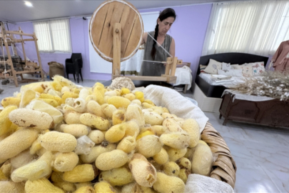 Depremden kurtardığı böcek yumurtalarıyla "Hatay sarısı ipeği"ne tescil kazandırdı