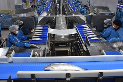 Türk somonu ihracatı yılın 9 ayında 369 milyon dolara yaklaştı