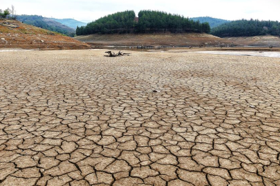 Bursa tarımının kalbi Gölbaşı ve Demirtaş Barajları kurudu