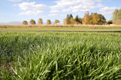Topraksız rulo çim üretim yöntemiyle verimli tarım arazilerinin kaybolmasının önlenmesi hedefleniyor